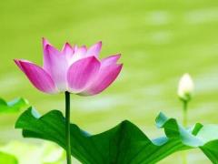 成年人奋斗的背后，是即将垮掉的身体和残缺的心灵