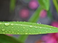 数字能量学手机号码如何预测吉凶？