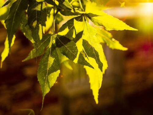 18f19915f4a14c9b914ed3b7c4cf15b8.jpg 18f19915f4a14c9b914ed3b7c4cf15b8.jpg