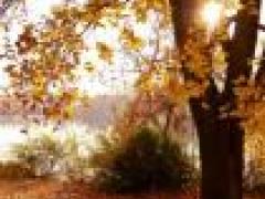 选手号必须避开三大“破财尾号”