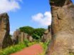 财富磁场能量手机号码是什么？