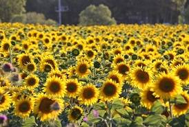 270b95ff2fe52931708409ed776442ce.jpg 270b95ff2fe52931708409ed776442ce.jpg