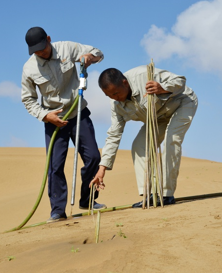 五行相克，为什么木能克土呢？五行相克释疑