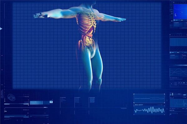 梦见肾脏是什么意思 梦见肾脏是什么意思