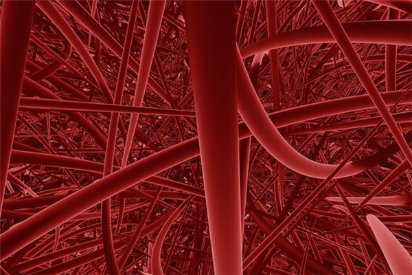 梦见血管是什么意思 梦见血管是什么意思