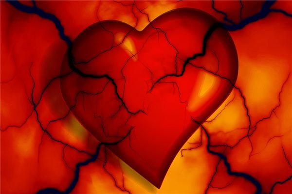 梦见动脉是什么意思 梦见动脉是什么意思