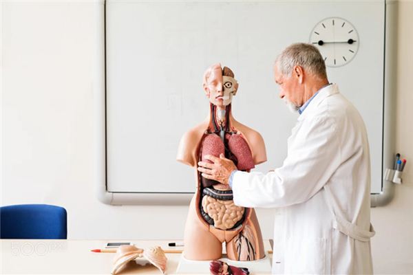 梦见内脏是什么意思 梦见内脏是什么意思