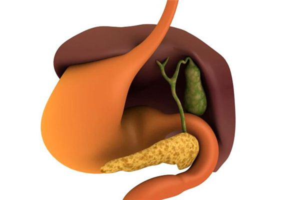 梦见胆是什么意思 梦见胆是什么意思