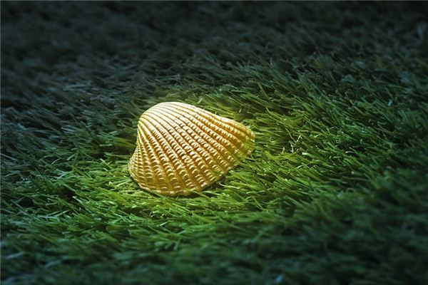 梦见牡蛎是什么意思 梦见牡蛎是什么意思