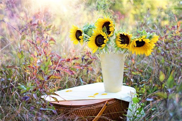 梦见花束是什么意思 梦见花束是什么意思