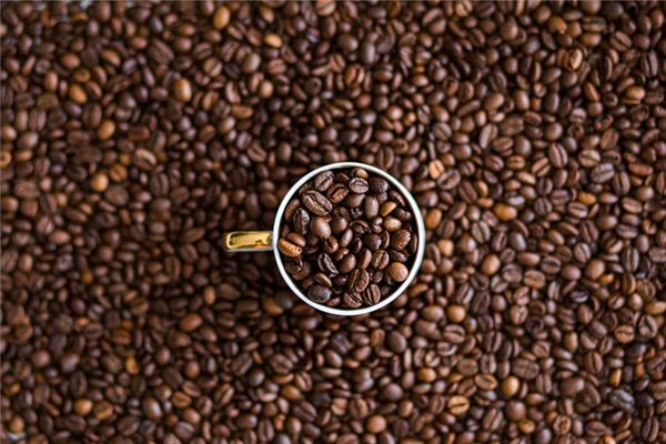 梦见可可豆是什么意思 梦见可可豆是什么意思