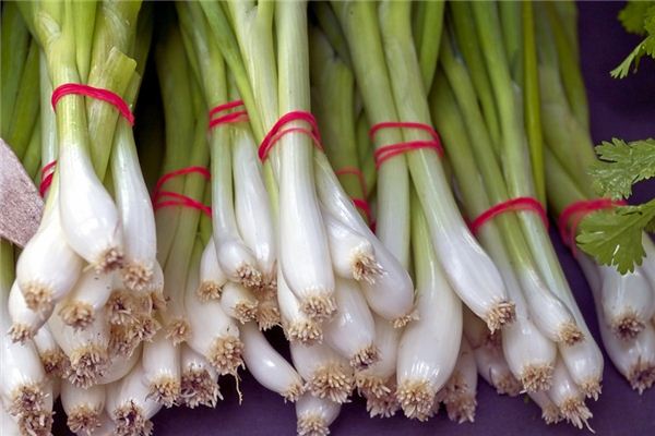 梦见葱头是什么意思 梦见葱头是什么意思