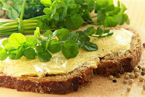 梦见芥子是什么意思 梦见芥子是什么意思