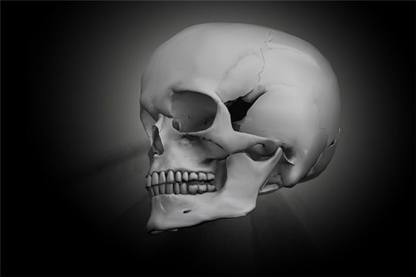 梦见尸架是什么意思 梦见尸架是什么意思