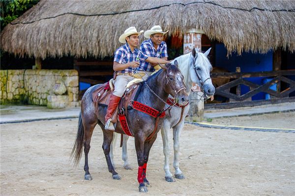 梦见马嚼子是什么意思 梦见马嚼子是什么意思
