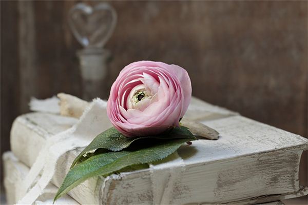 梦见往昔旧物是什么意思 梦见往昔旧物是什么意思