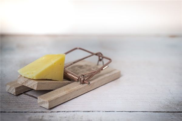 梦见诱饵是什么意思 梦见诱饵是什么意思