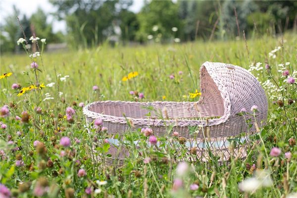 梦见摇篮是什么意思 梦见摇篮是什么意思