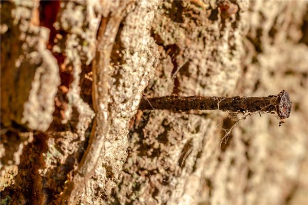 梦见钉子是什么意思 梦见钉子是什么意思