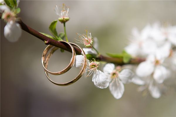 梦见圆环是什么意思 梦见圆环是什么意思