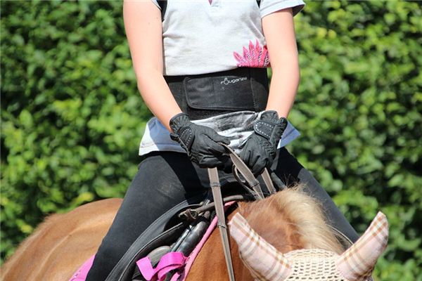 梦见缰绳是什么意思 梦见缰绳是什么意思