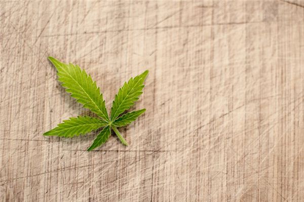 梦见烟叶是什么意思 梦见烟叶是什么意思