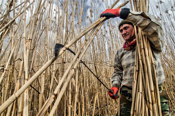 梦见大镰刀是什么意思 梦见大镰刀是什么意思
