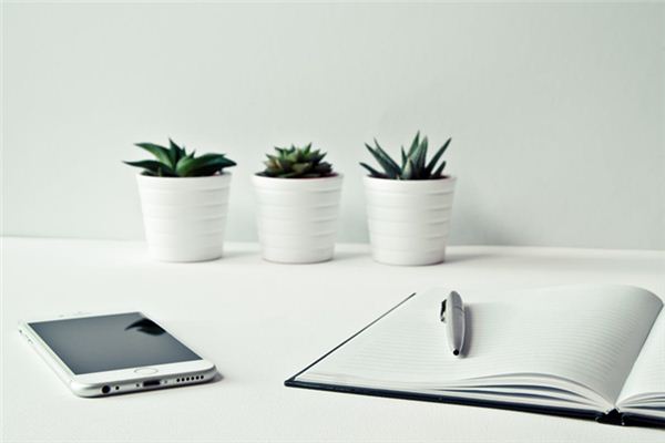 梦见丢手机是什么意思 梦见丢手机是什么意思