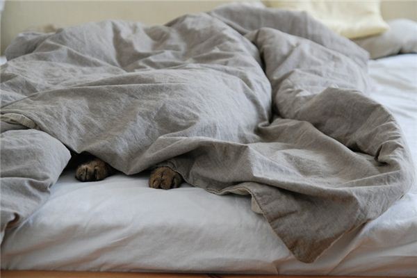 梦见毯子是什么意思 梦见毯子是什么意思