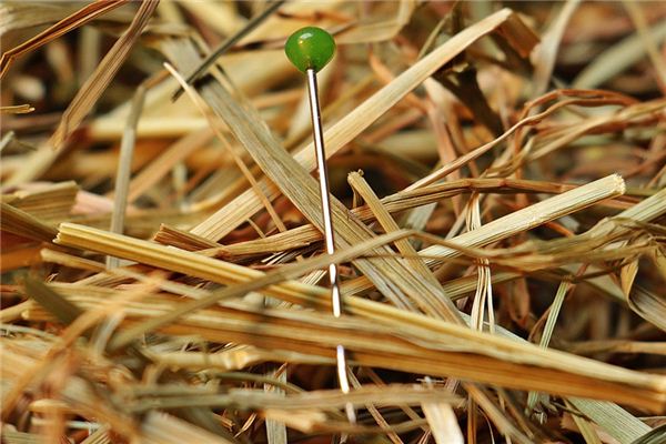 梦见大头针是什么意思 梦见大头针是什么意思