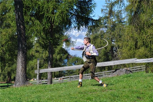 梦见鞭子是什么意思 梦见鞭子是什么意思