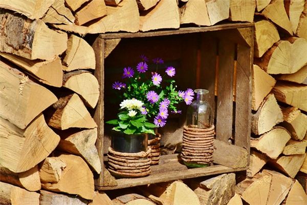 梦见壁笼是什么意思 梦见壁笼是什么意思