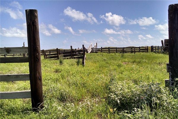 梦见牲畜栏是什么意思 梦见牲畜栏是什么意思