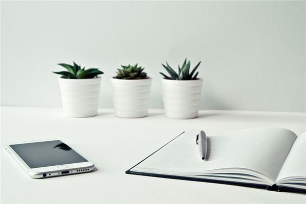 梦见日记是什么意思 梦见日记是什么意思