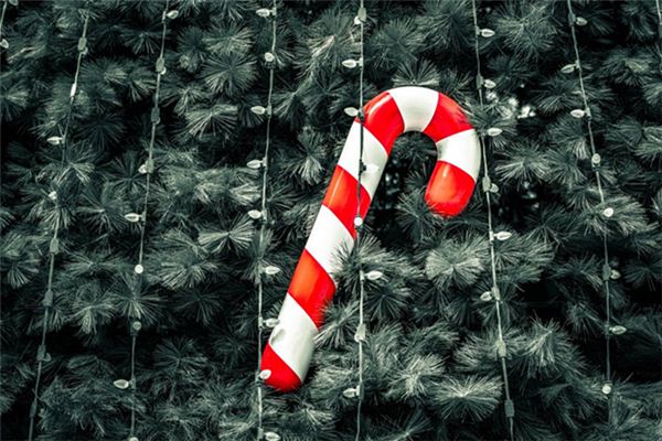 梦见拐杖是什么意思 梦见拐杖是什么意思