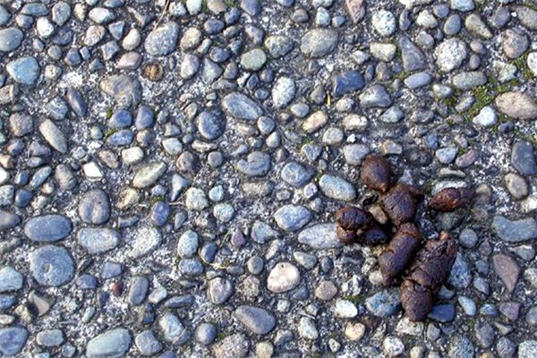 梦见大便是什么意思 梦见大便是什么意思