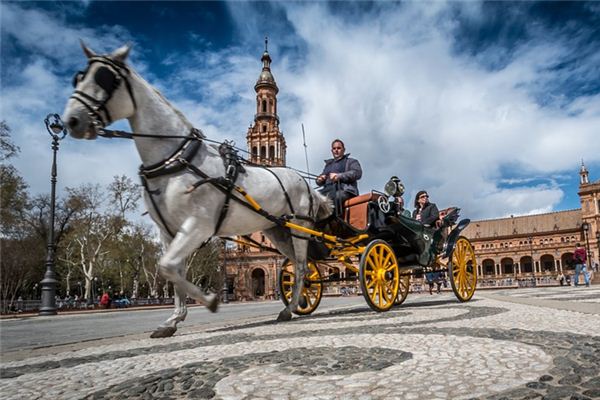 梦见车马是什么意思 梦见车马是什么意思