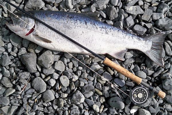 梦到钓到大鱼 梦到钓到大鱼