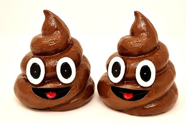 梦见解大便是什么预兆 梦见解大便是什么预兆