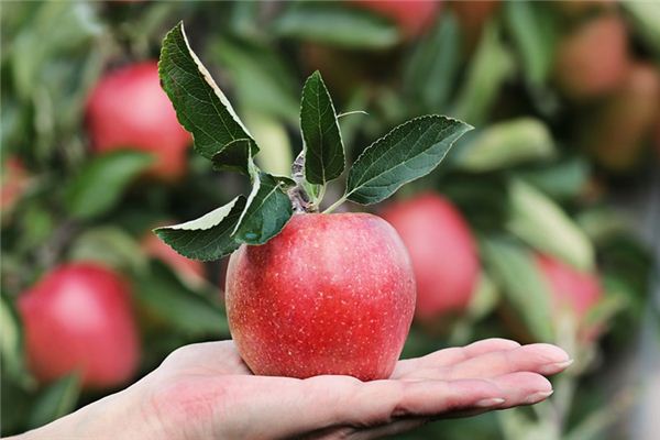 梦见别人送东西是什么意思 梦见别人送东西是什么意思