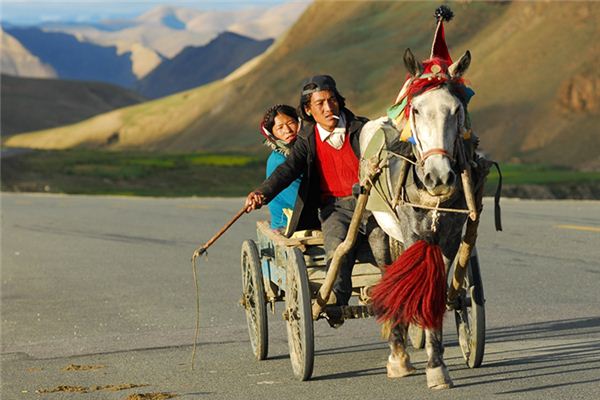 梦见拉车是什么意思 梦见拉车是什么意思