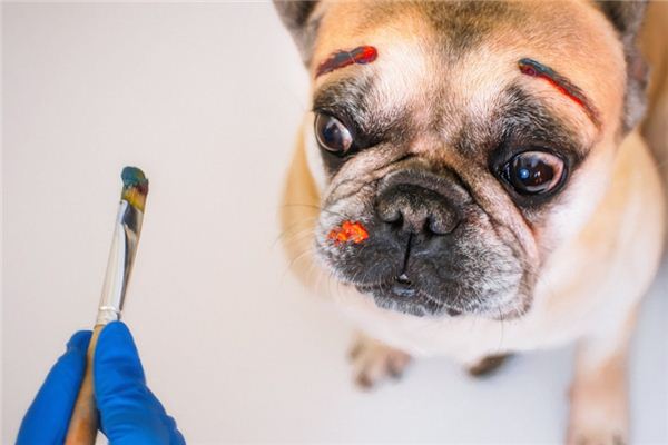 梦见开玩笑是什么意思 梦见开玩笑是什么意思