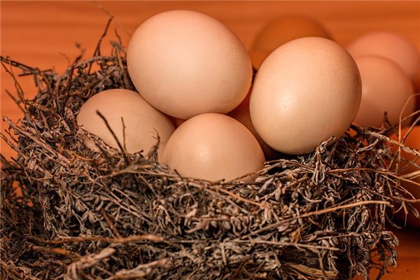 梦见捡鸡蛋是什么意思 梦见捡鸡蛋是什么意思