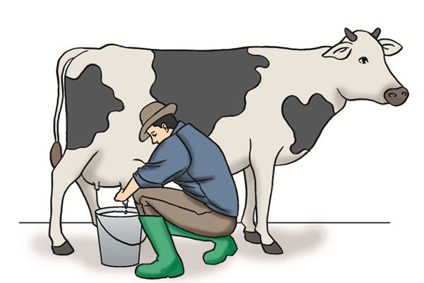 梦见挤奶是什么意思 梦见挤奶是什么意思