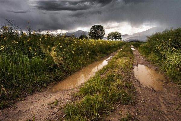 梦见泥坑是什么意思 梦见泥坑是什么意思