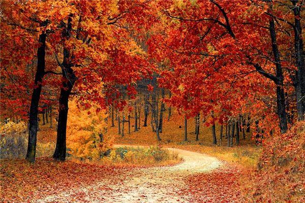 梦见秋天是什么意思 梦见秋天是什么意思