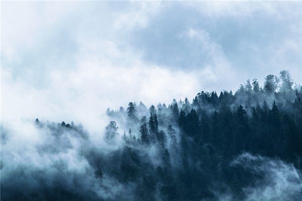 梦见雾是什么意思 梦见雾是什么意思