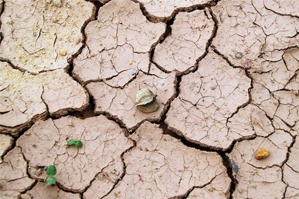 梦见泥土是什么意思 梦见泥土是什么意思