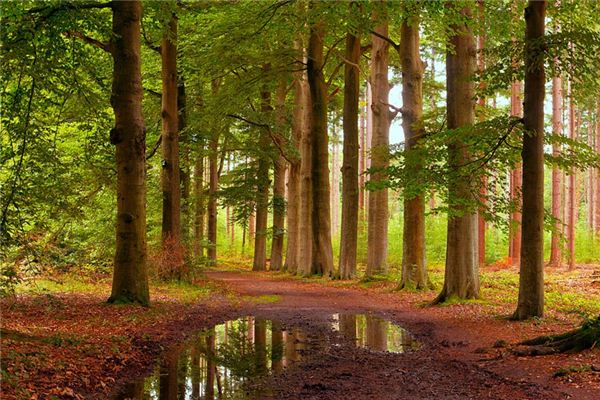 梦见地带是什么意思 梦见地带是什么意思