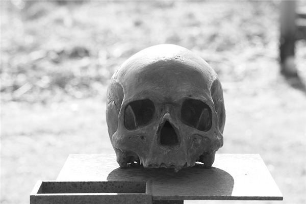 梦见骷颅是什么意思 梦见骷颅是什么意思